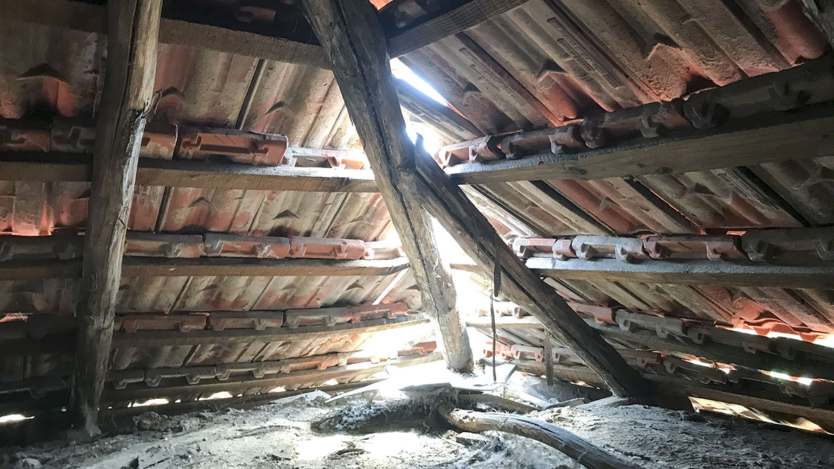 Fáradt fa fedélszék