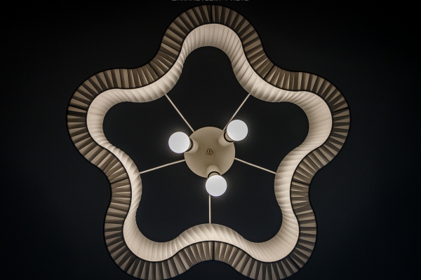 Baranovszky Photo 15